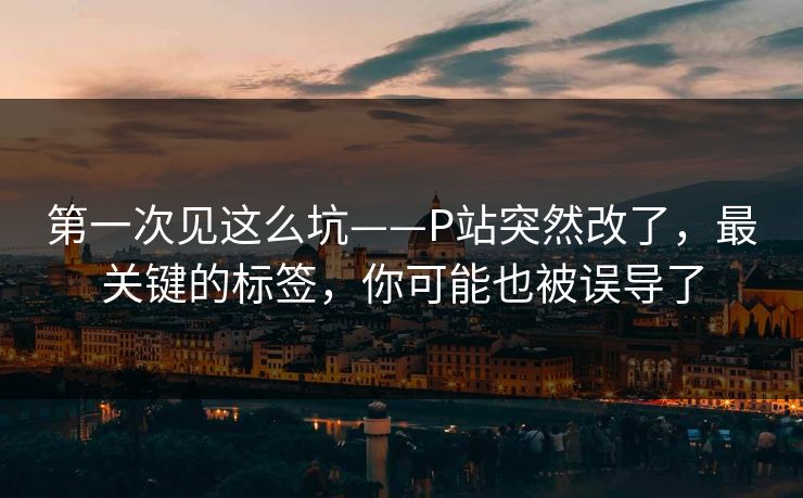 第一次见这么坑——P站突然改了，最关键的标签，你可能也被误导了