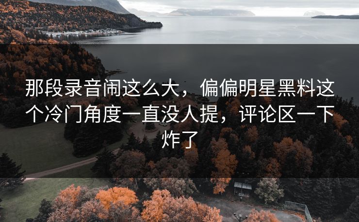 那段录音闹这么大，偏偏明星黑料这个冷门角度一直没人提，评论区一下炸了