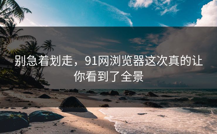 别急着划走，91网浏览器这次真的让你看到了全景